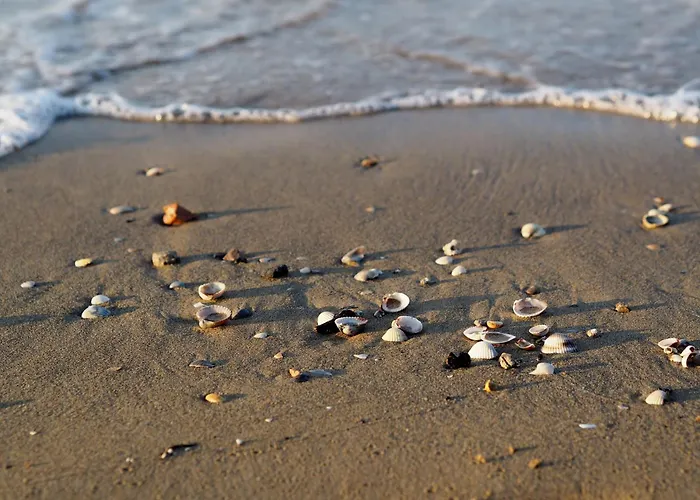 Garden Retreat Steps From The Pool شقة